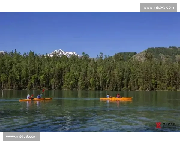 哈比提2017比赛精彩回顾与赛后影响分析