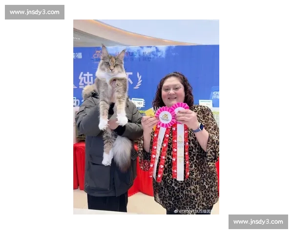 国际GC猫比赛年度盛典聚焦顶级名猫血统魅力与冠军荣耀之争