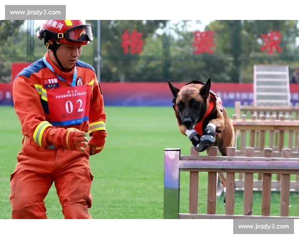 基于FCI比赛规则与训练策略的犬类竞赛全面解析与实践指导