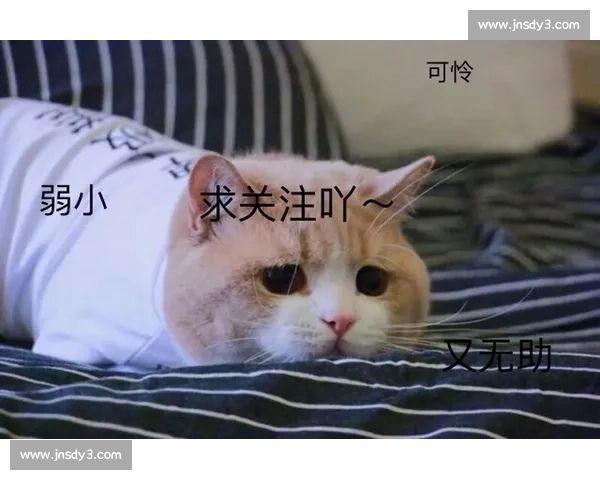 我魔的比赛值得继续关注吗未来发展和精彩看点分析