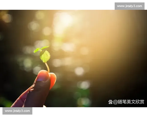 晨光下的城市与心灵对话：在平凡日子里发现温暖与希望的瞬间