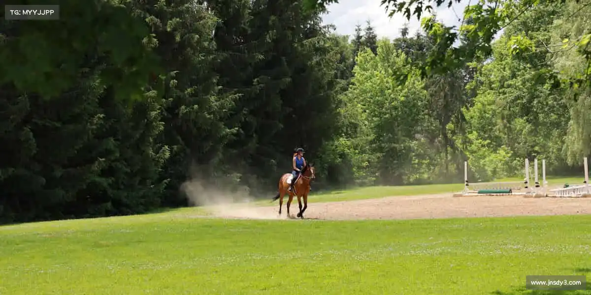 AG庄闲集团🚴♀️风在前,路在脚下!用速度和汗水定义你的热爱~